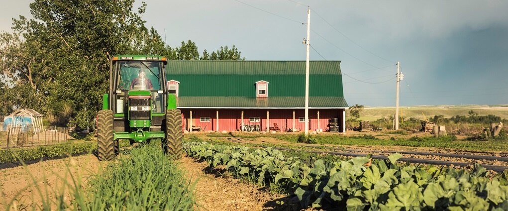 Tractor in farm field