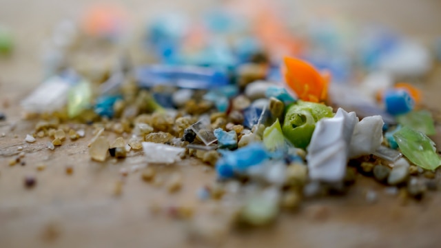 Microplastics in the sand